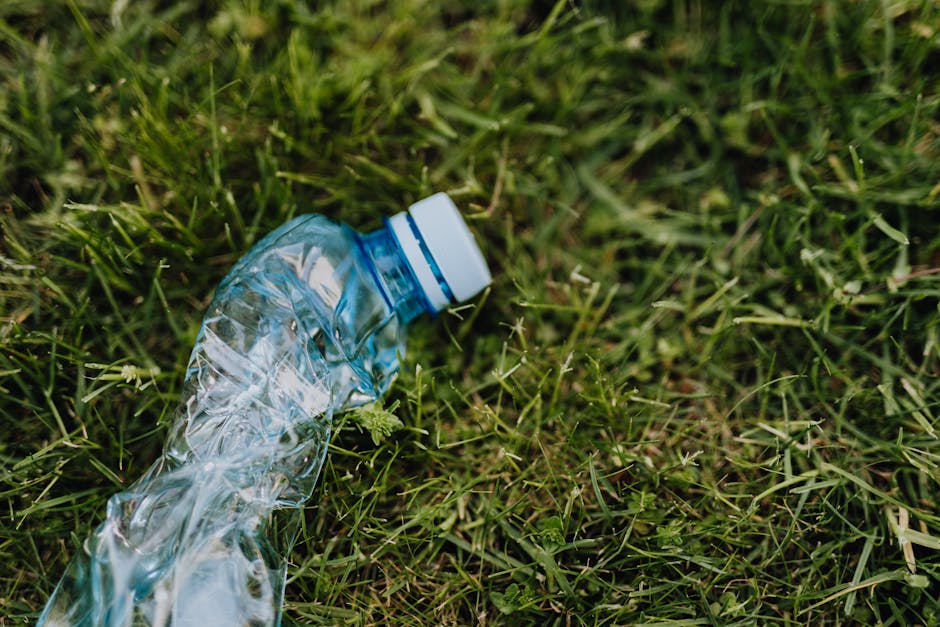 A clear plastic water bottle with a white and blue cap lies discarded on a patch of green grass, with the bottle slightly crumpled and partially flattened. The grass surrounding the bottle is lush and dense, composed of fine blades with some small weeds and wild plants visible among the greenery. The environment appears to be an outdoor area, possibly a garden or park, illuminated by natural daylight, resulting in bright and evenly distributed lighting that highlights the texture of the grass and the transparency of the plastic bottle. The bottle's surface reflects light, emphasizing its crumpled condition, and it is positioned in the foreground, with a slightly blurred background of more grass. The scene illustrates typical littering that waste clearance services such as Waste Clearance Highbury might encounter in their rubbish removal tasks, including environmentally unfriendly waste improperly disposed of in outdoor spaces, which supports the context of alternative waste handling and the importance of proper rubbish disposal methods.